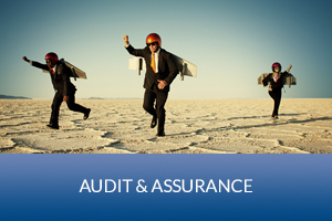 auditbutton